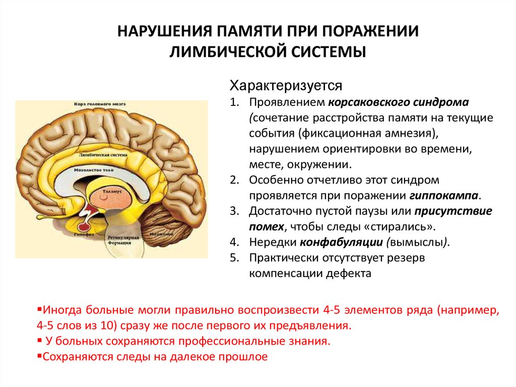 Симптомы нарушения работы отдела головного мозга. Лимбическая система синдромы поражения. Симптомы поражения лимбической системы неврология. Лимбическая система мозга структура функции таблица. Гиппокамп лимбическая система.