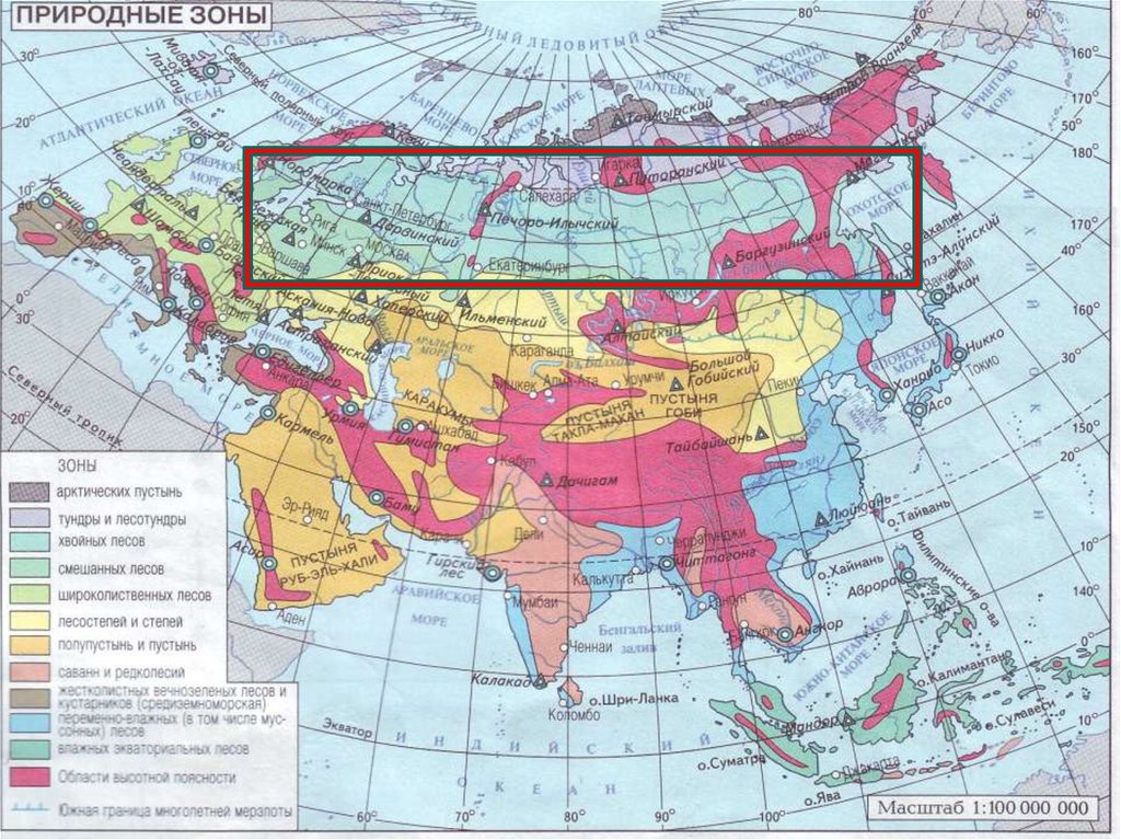 Карта природных зон в евразии