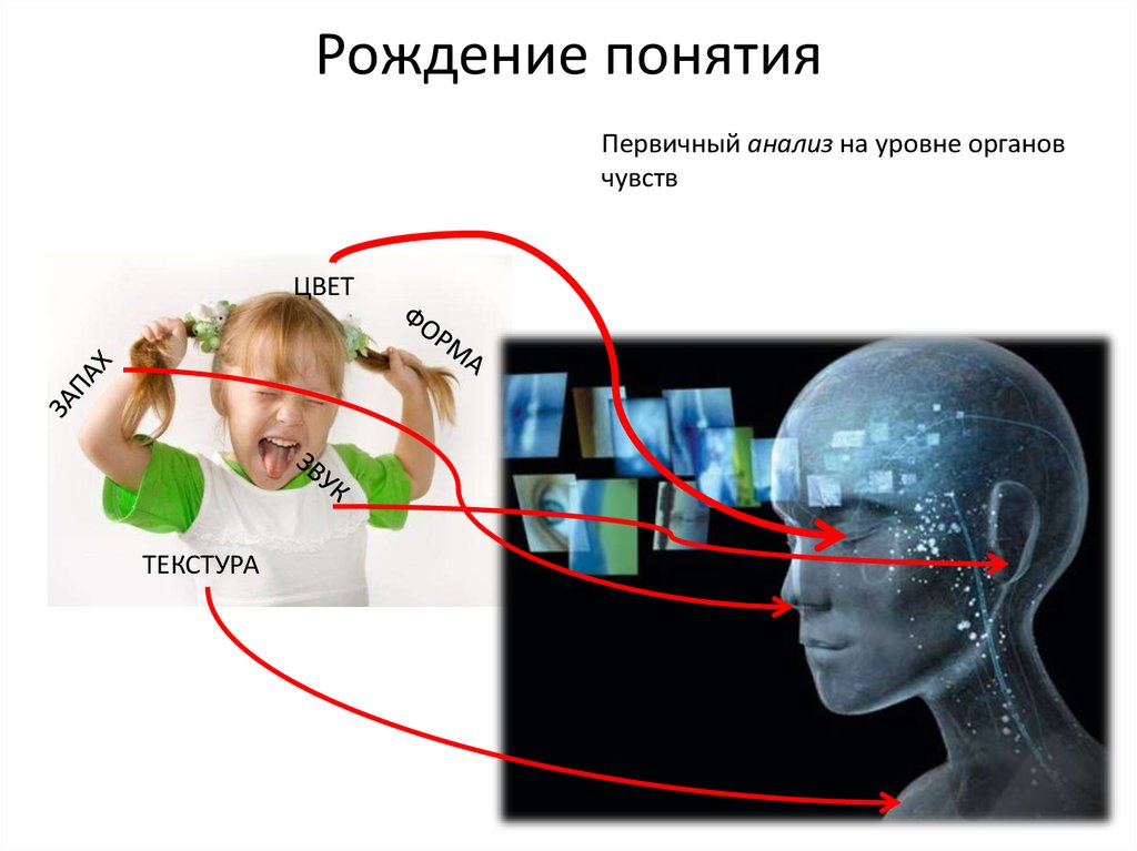 Рождение понятия