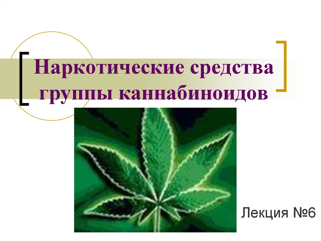 Конопля и наркотические средства тор браузер скачать бесплатно на русском отзывы hyrda вход