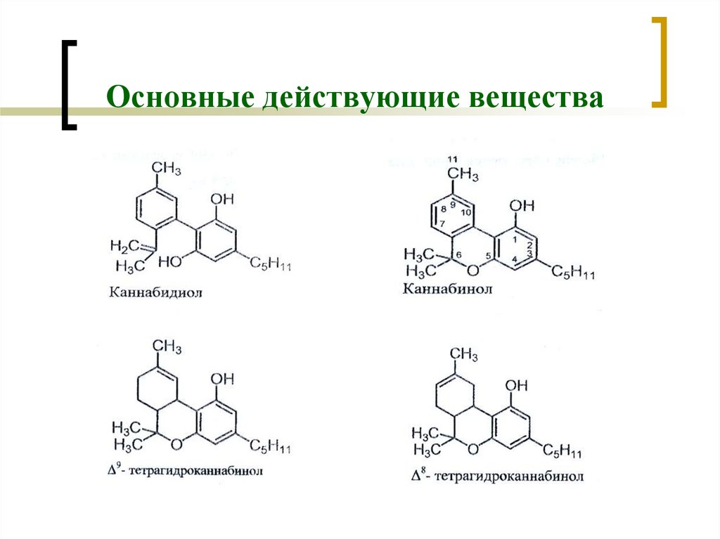 Главные действующие