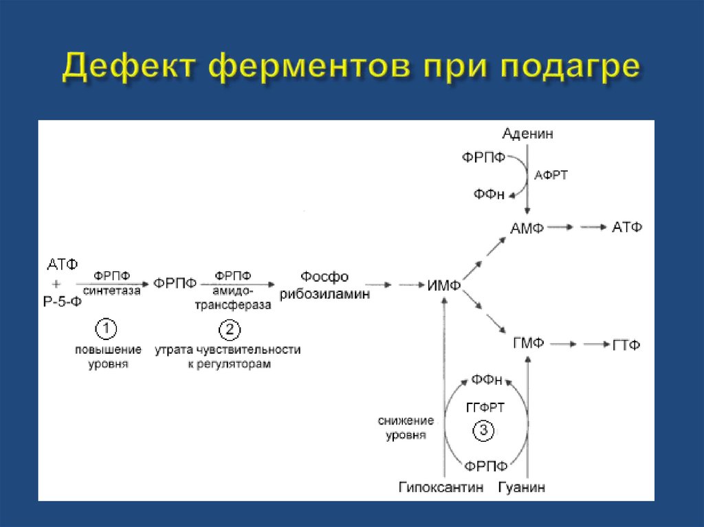 Обмен ферментов. Дефект ферментов при подагре. Подагра реакция биохимия. Подагра при дефиците ферментов. Подагра биохимические процессы.