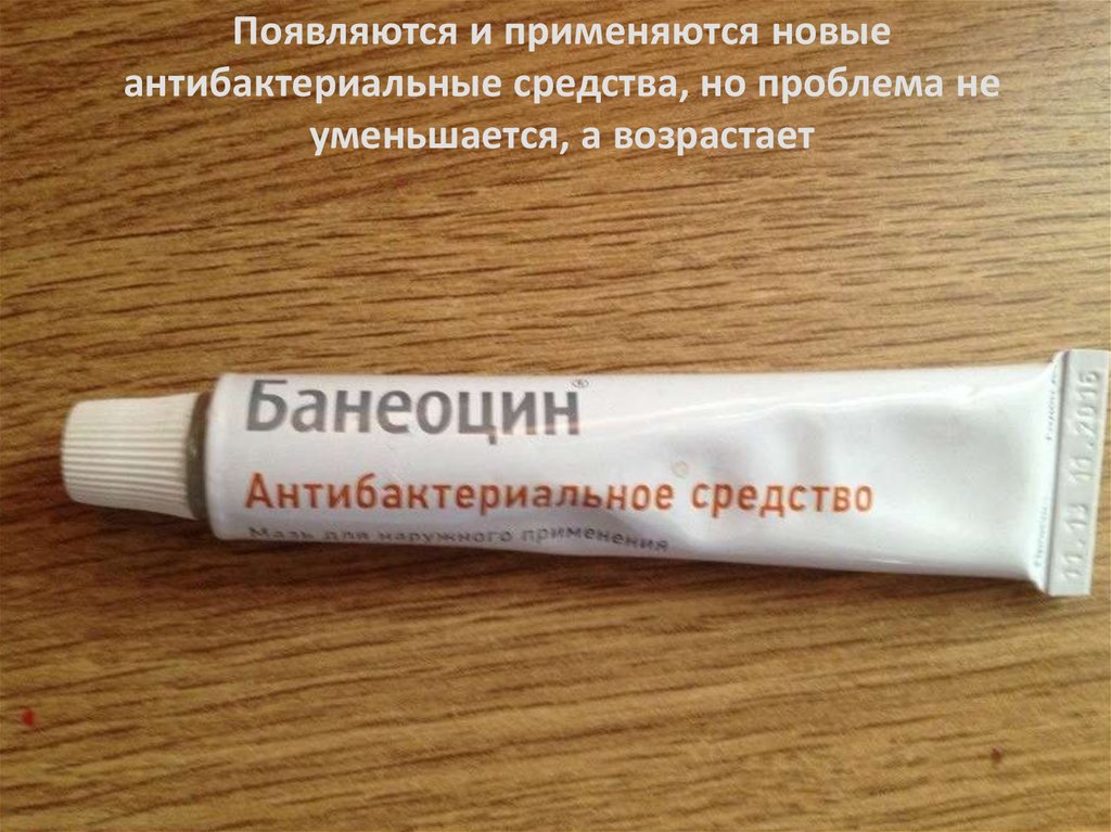 Применение населением Могилевской области противомикробных ...