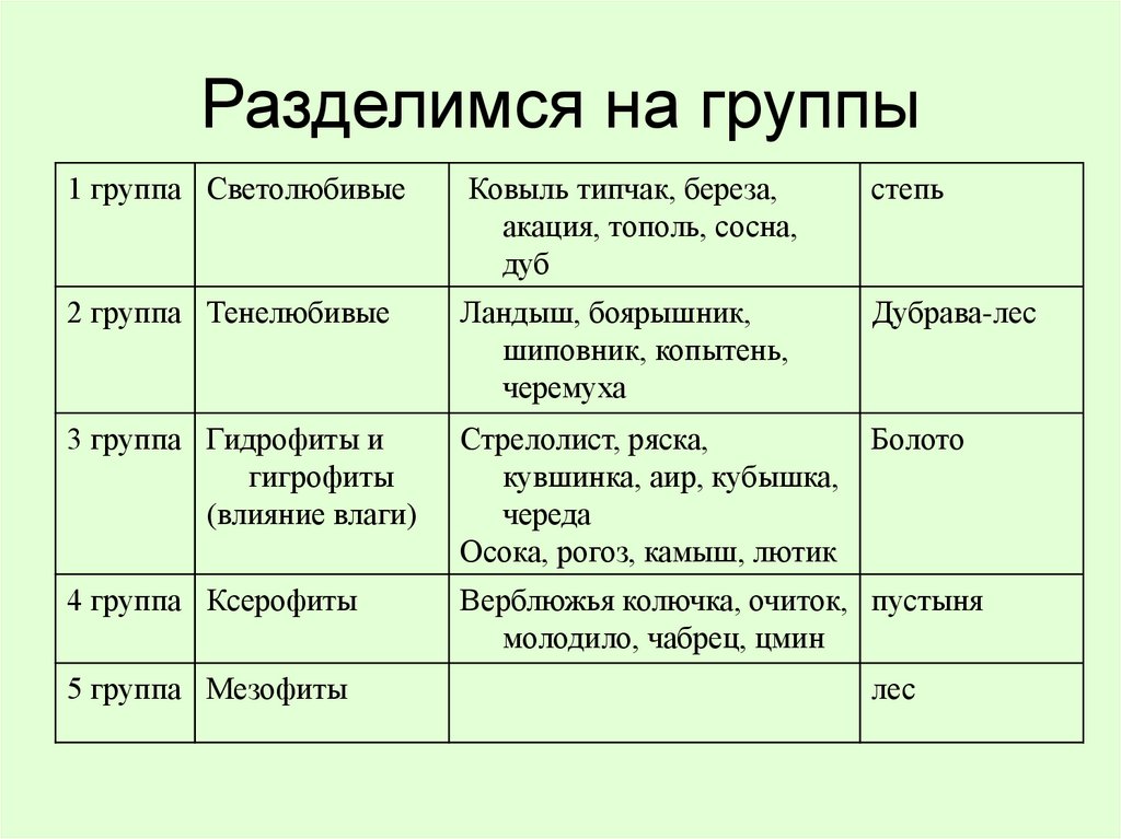 Таблица экологические группы растений 7 класс биология