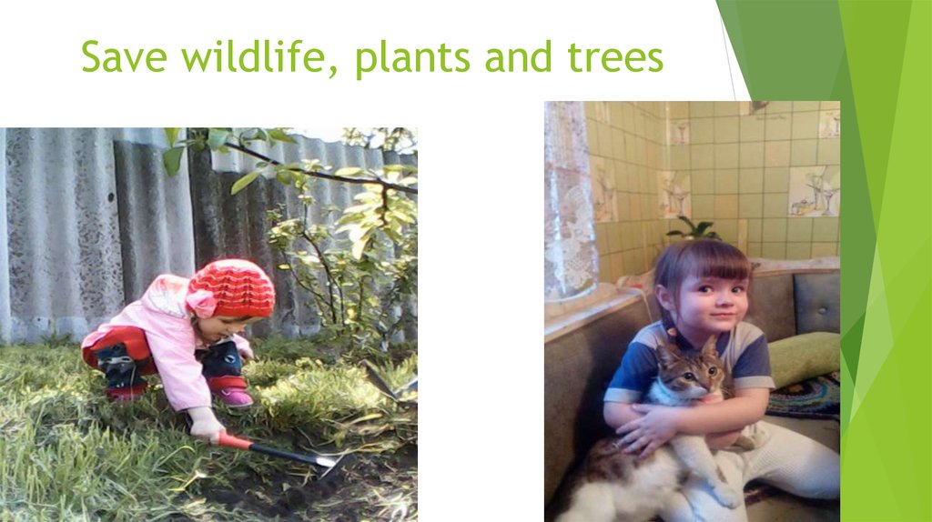 Save wildlife, plants and trees