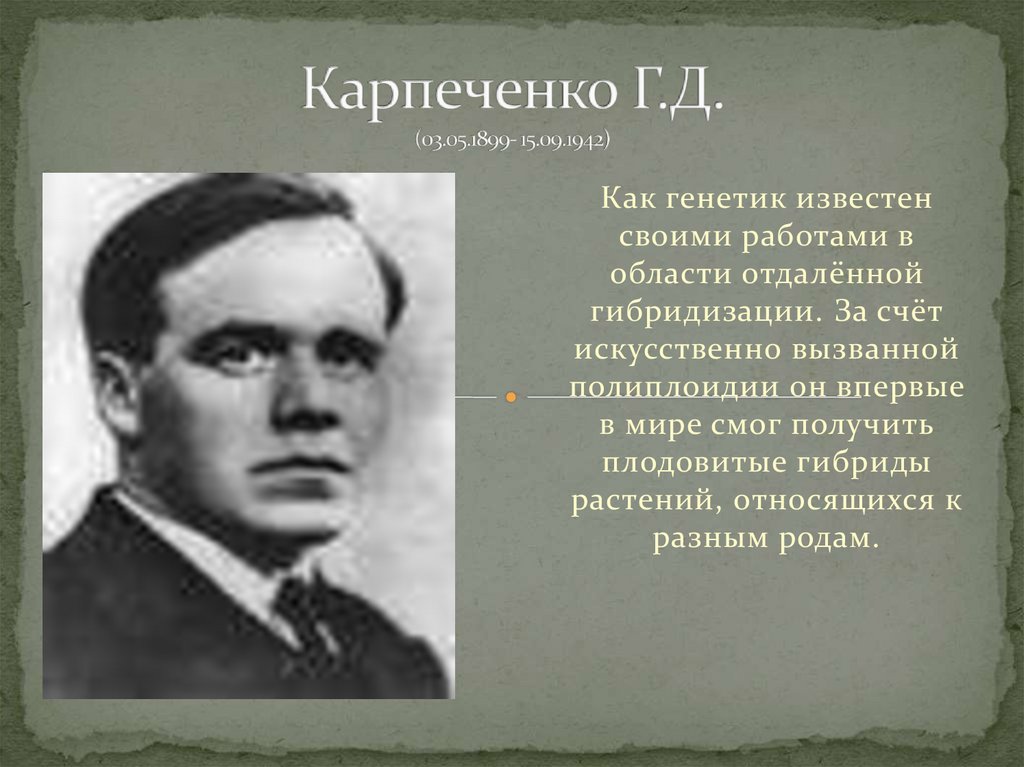 Ученые генетики. Ученый-генетик г. д. Карпеченко. Открытия Георгий Дмитриевич Карпеченко. Георгий Дмитриевич Карпеченко генетик. Заслуги Карпеченко.