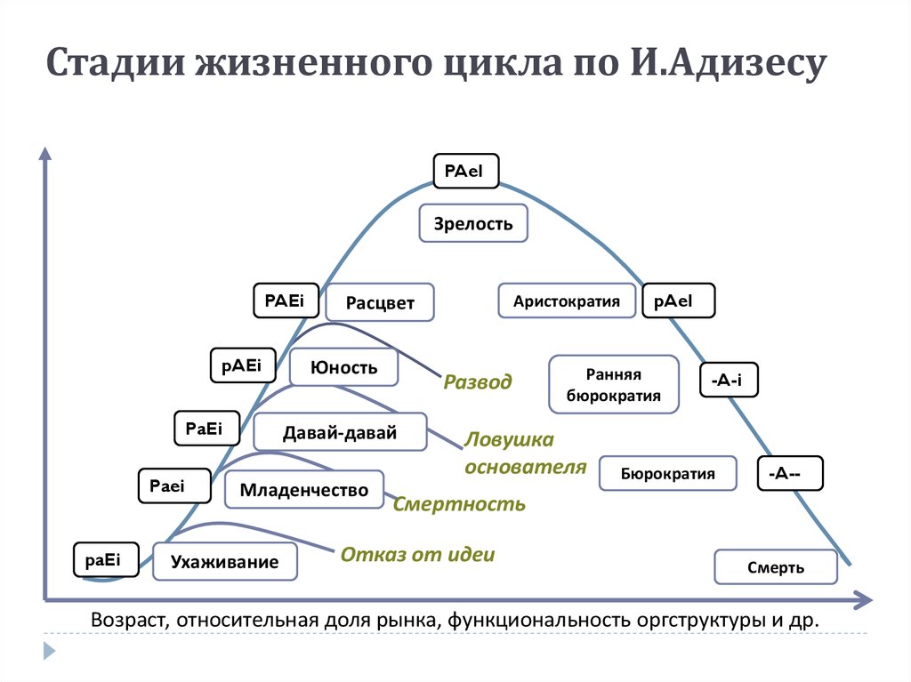 10 9 на этапе. Жизненный цикл домашнего хозяйства. Схема этапов жизненного цикла. Последовательность этапов жизненного цикла семьи. Стадии жизненного цикла.