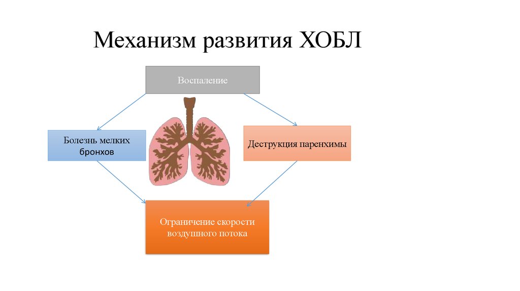 Профилактика хобл презентация