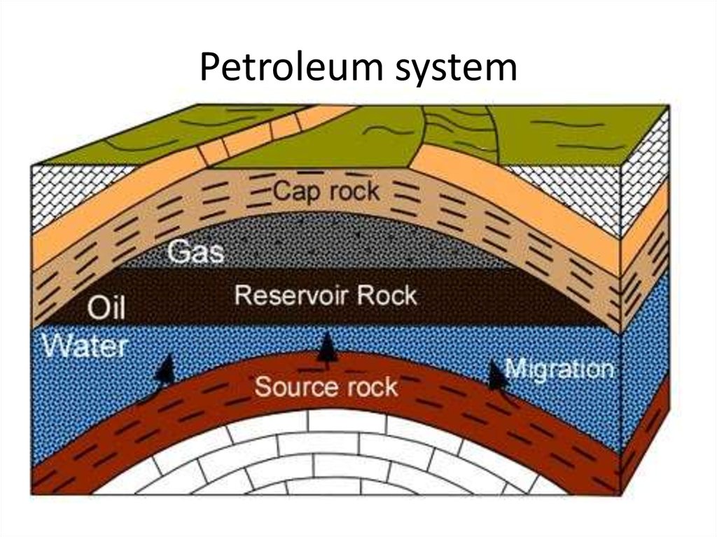 Petroleum system
