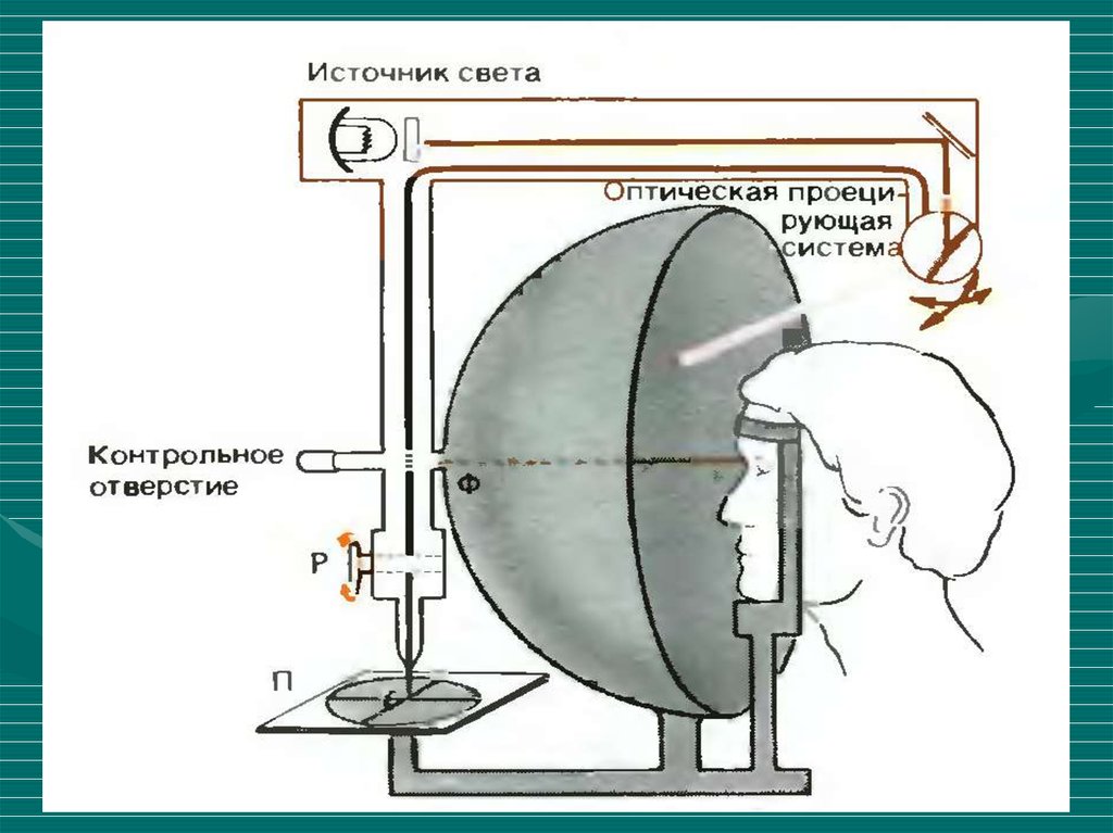 Блок схема зрительного анализатора