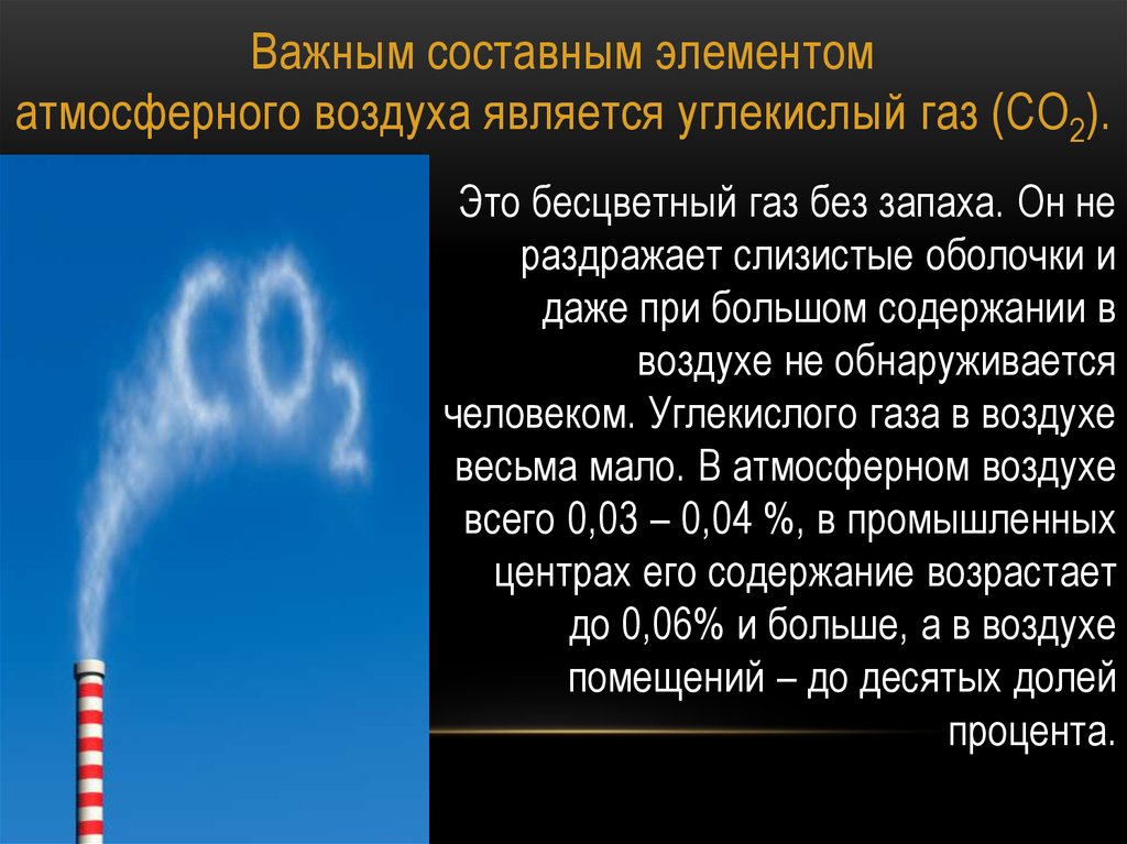 Углекислый газ самый вредный компонент выхлопных газов