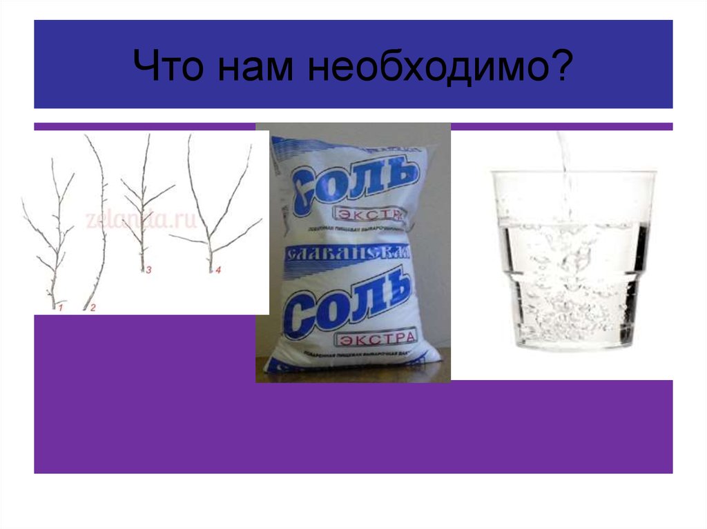 Что нам необходимо?