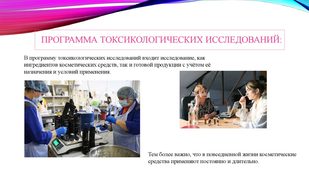 Программа токсикологических исследований: