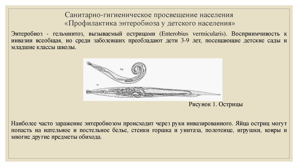 Энтеробиоз пути заражения