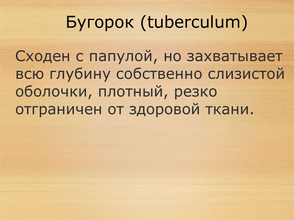 Бугорок (tuberculum)