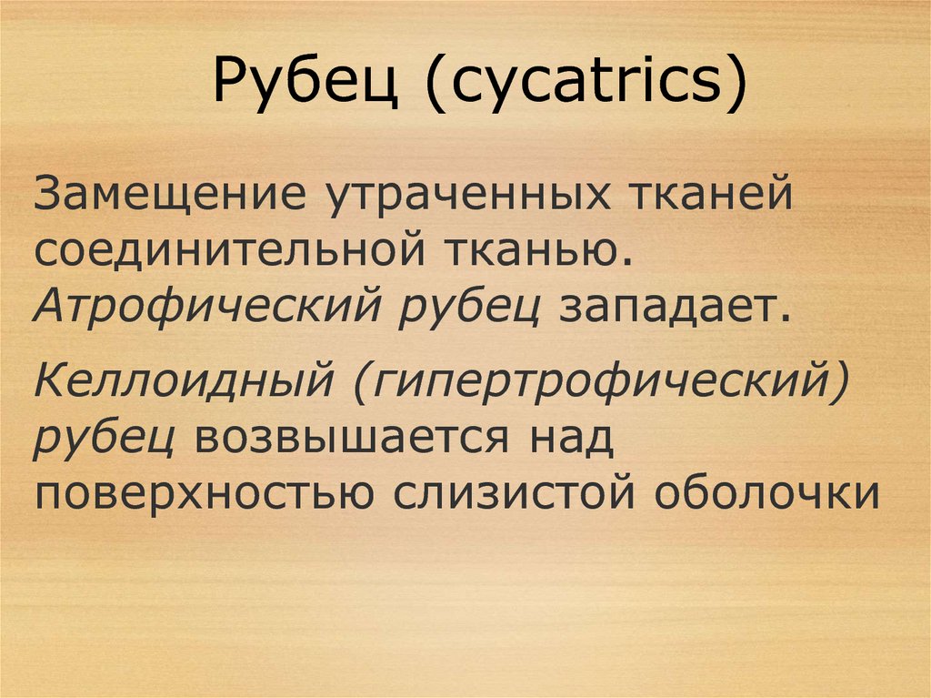 Рубец (cycatrics)