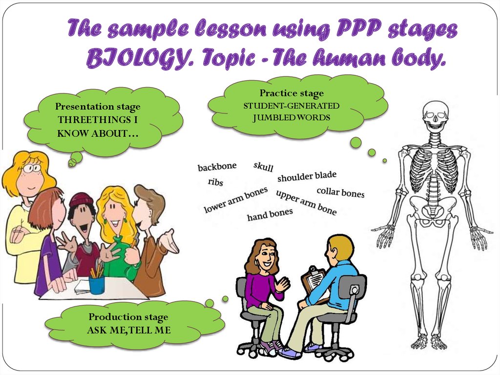 The sample lesson using PPP stages BIOLOGY. Topic - The human body.