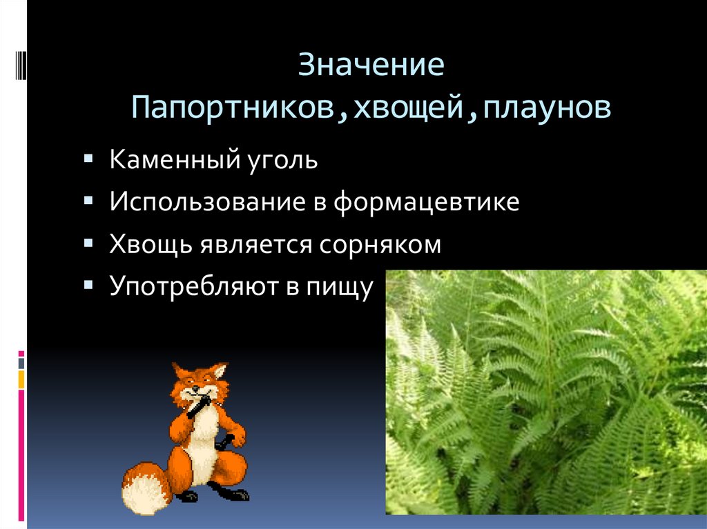 Значение хвощей и папоротников. Значение хвощей в природе. Плауны значение. Практическое значение плаунов. Значение плаунов в природе.