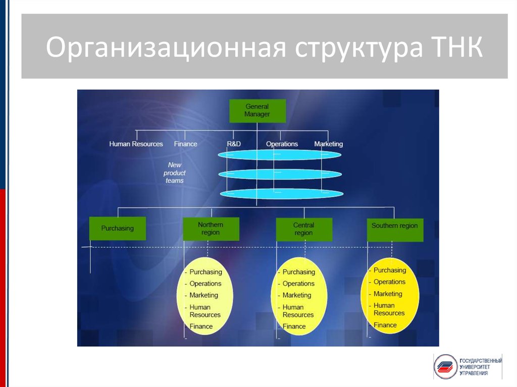 Структура тнк схема