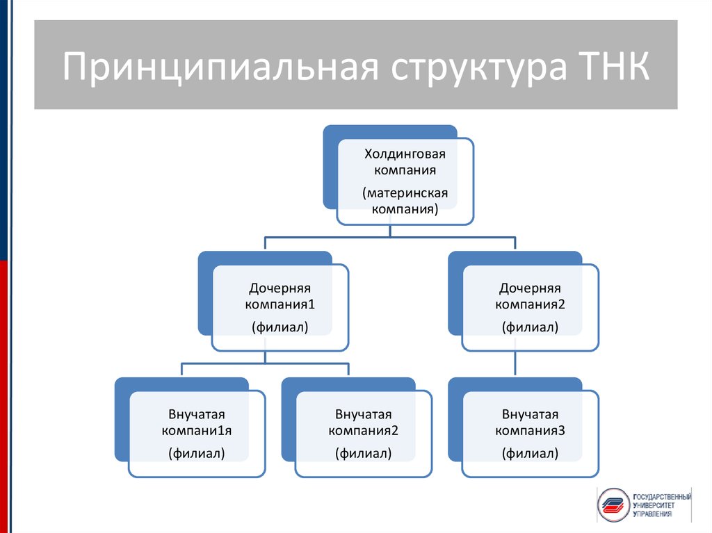 Структура тнк схема