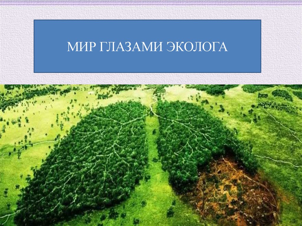 Мир глазами эколога презентация 4 класс школа россии