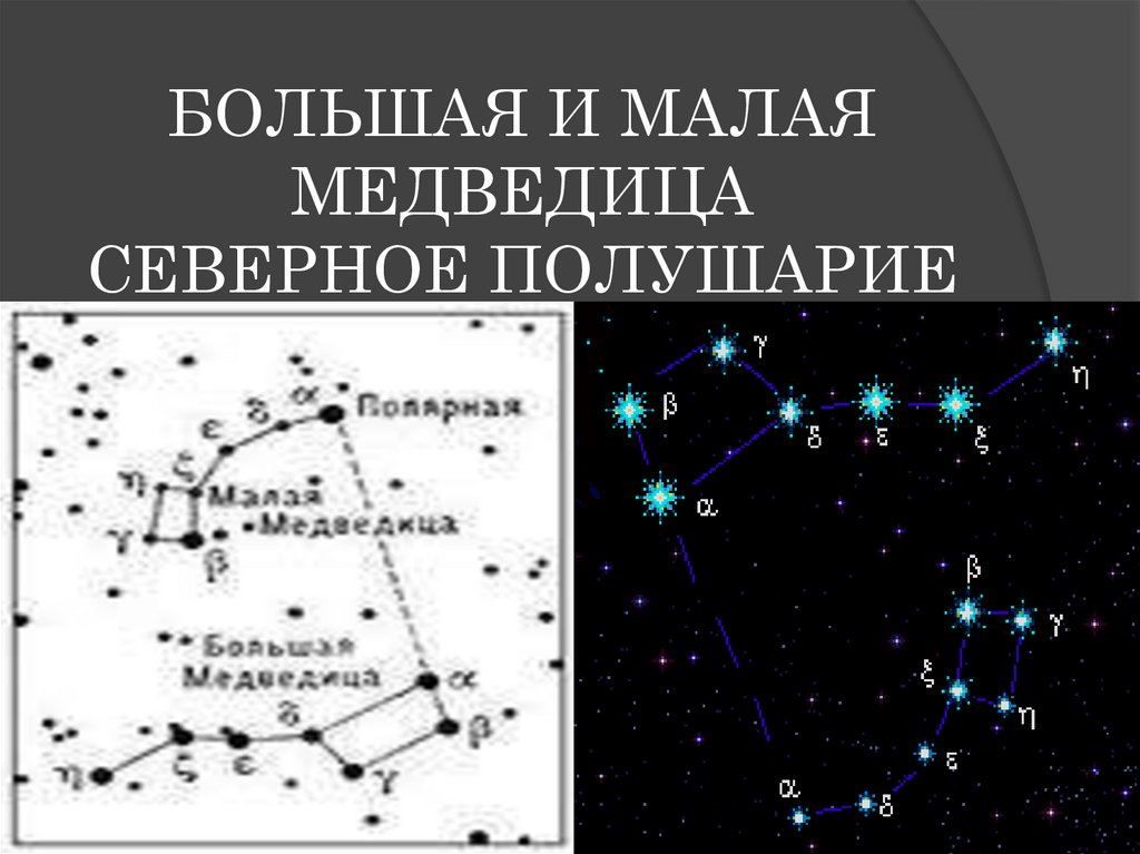 Малая медведица. Большая Медведица в Северном полушарии. Большая Медведица и малая Медведица в Северном полушарии. Малая Медведица в Северном полушарии. Большая Медведица Северное полушарие в ноябре.