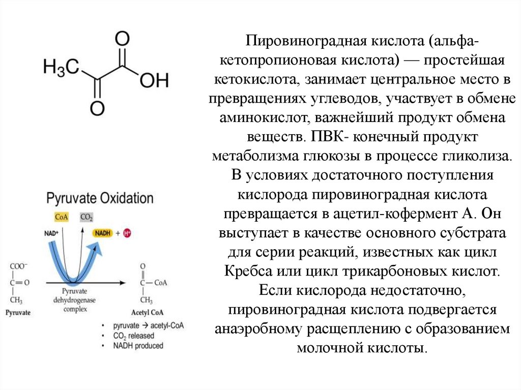 Полное окисление пировиноградной кислоты