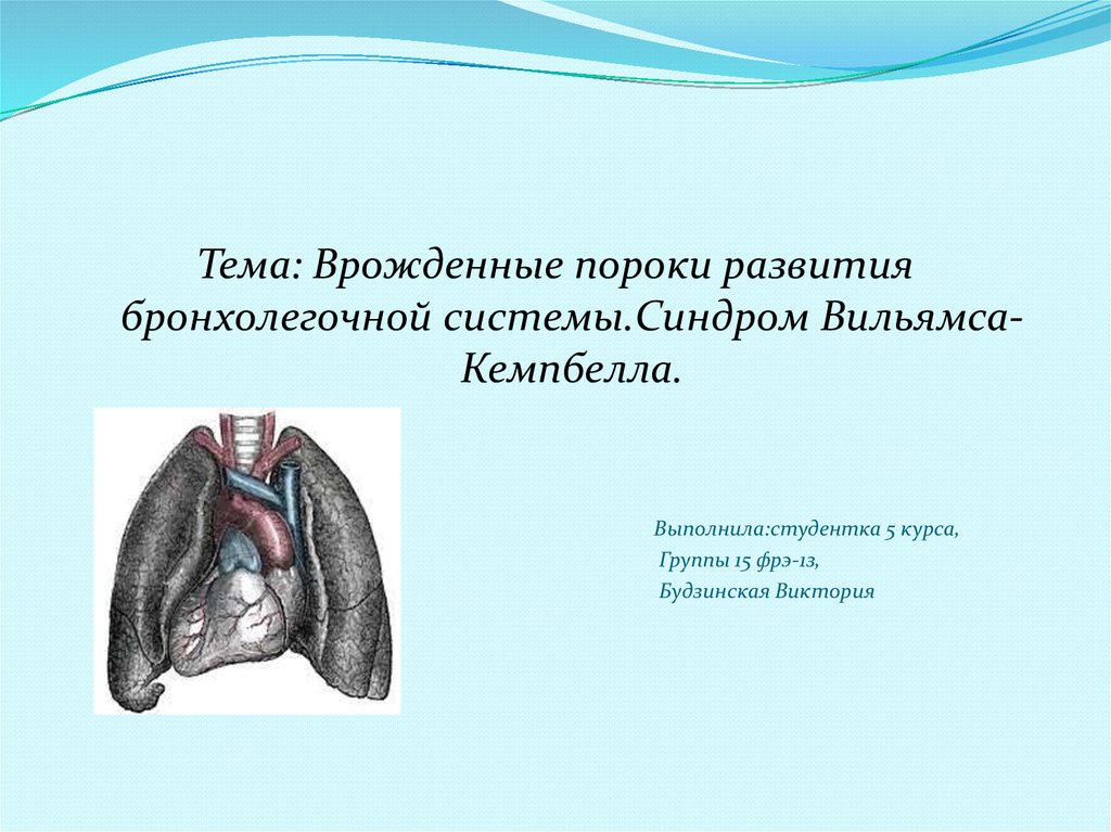 Врожденные пороки развития дыхательной системы презентация