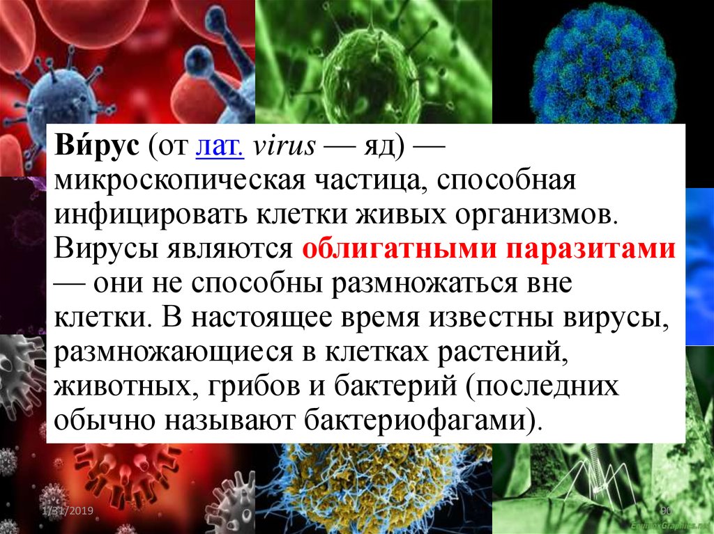 Вирусы 6 класс биология. Царство вирусов вирусов. Вирусы способны размножаться вне клетки. Вирусы это живые организмы. Вирус от бактерии.