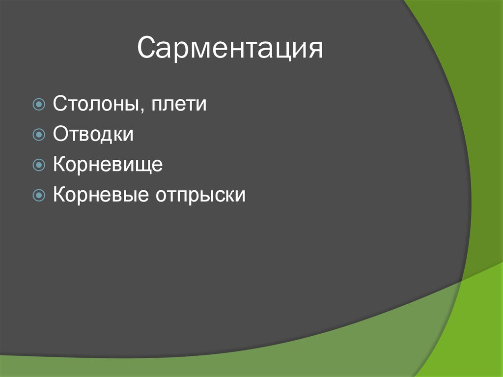 Сарментация