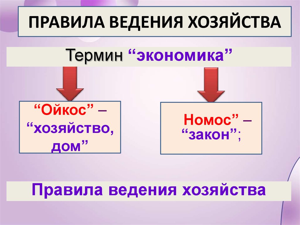 Хозяйство семьи схема