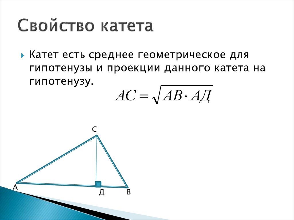 Катеты подобных треугольников