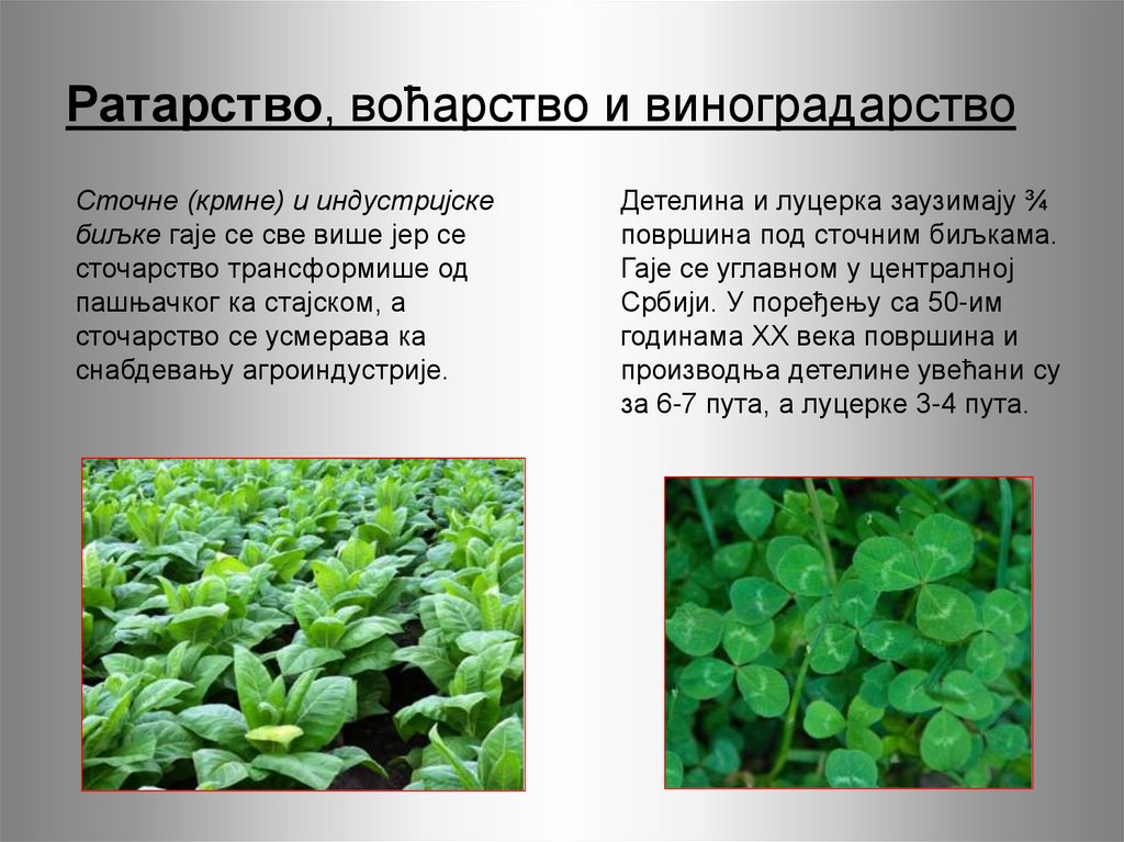 Ратарство, воћарство и виноградарство