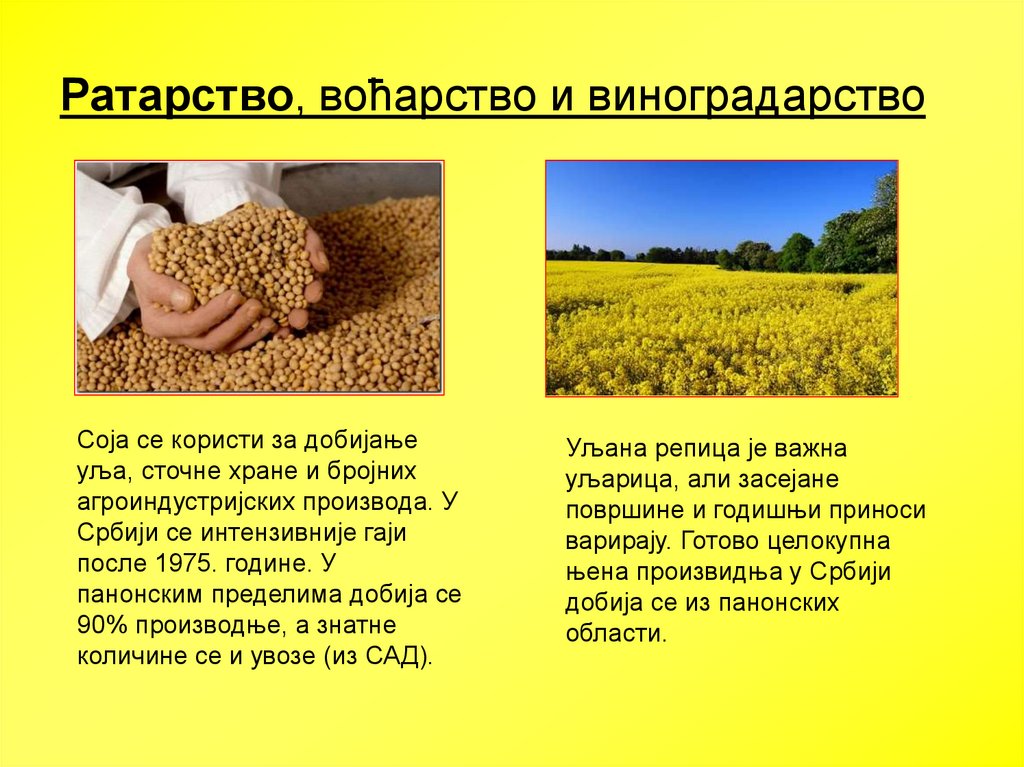 Земљорадња Србије - презентация онлайн