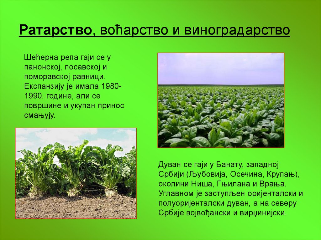 Ратарство, воћарство и виноградарство