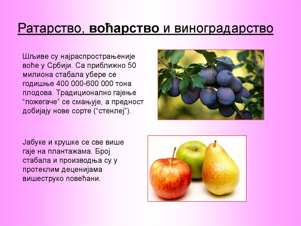 Ратарство, воћарство и виноградарство