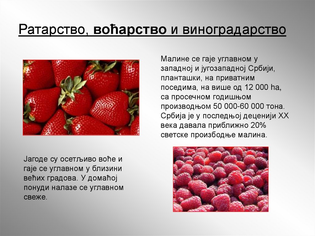 Ратарство, воћарство и виноградарство