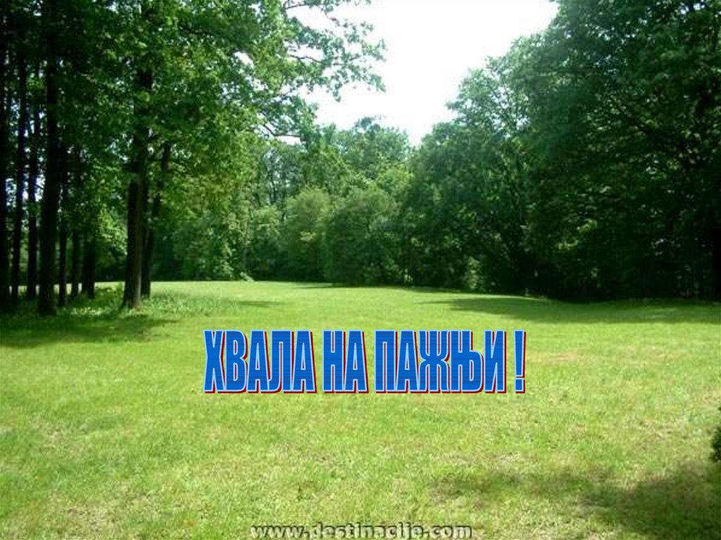Земљорадња Србије - презентация онлайн