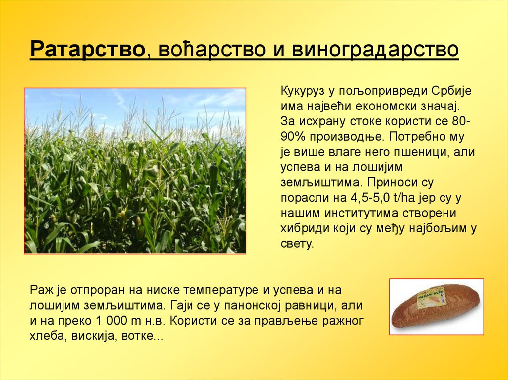 Земљорадња Србије - презентация онлайн