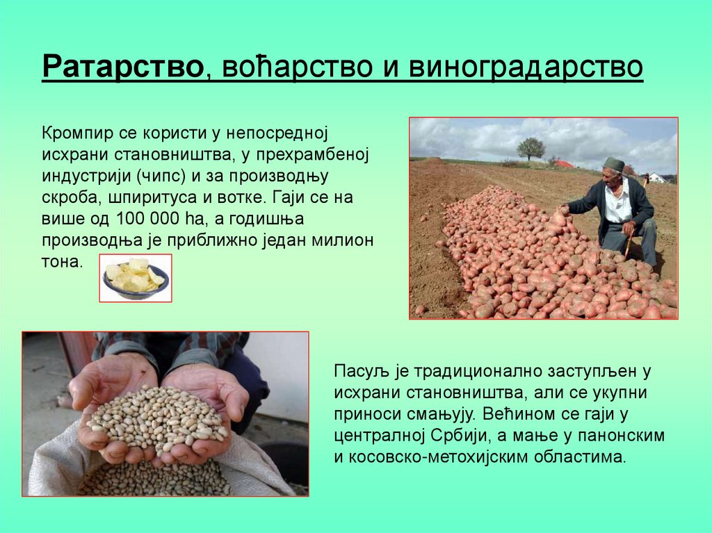 Земљорадња Србије - презентация онлайн