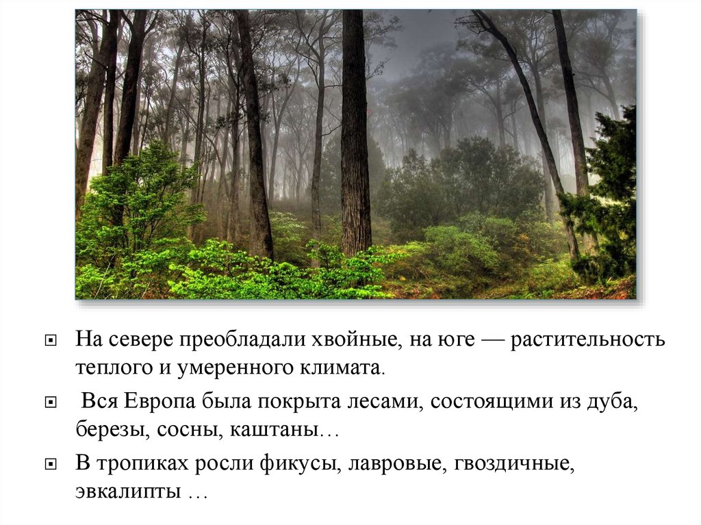 Преобладание хвойной растительности. На севере преобладали хвойные. Юг лес. Гремучий лес состоит.