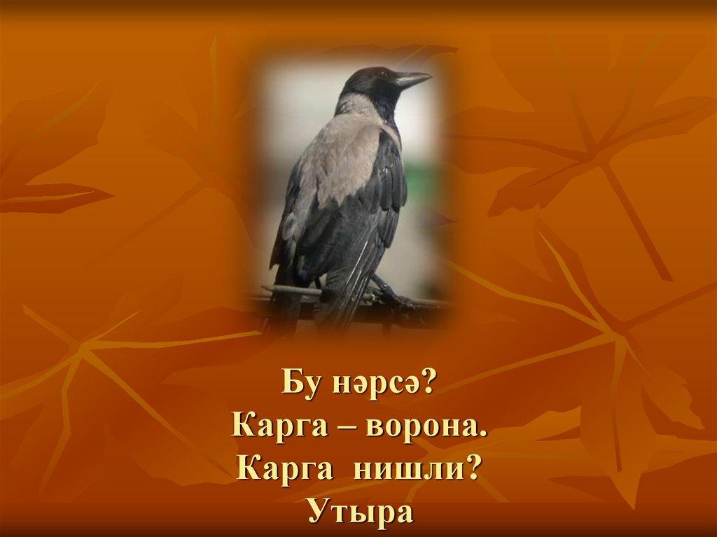 Бу нәрсә? Карга – ворона. Карга нишли? Утыра