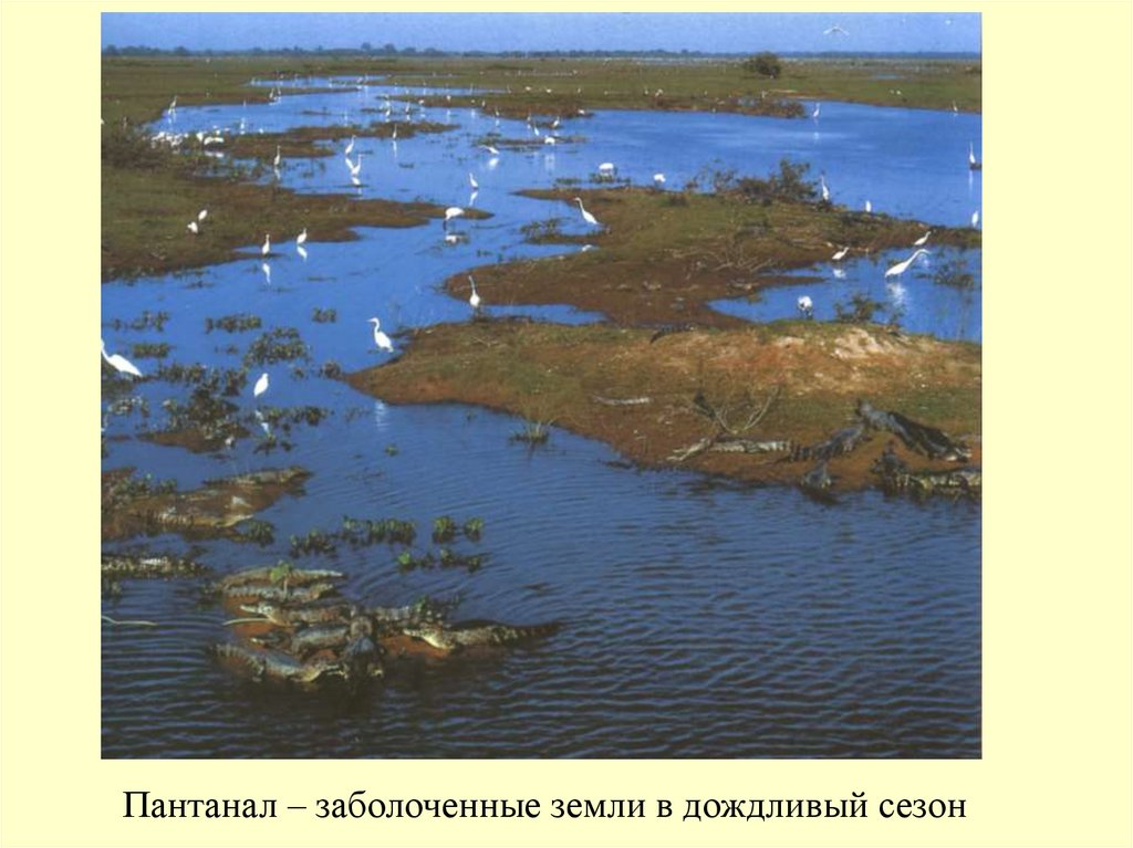 Особенности внутренних вод. Внутренние воды Архангельской области. Особенности внутренних вод Липецк.