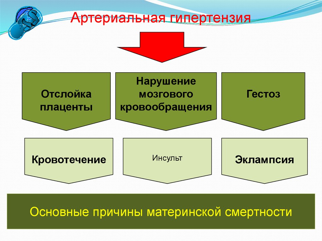 Преэклампсия эклампсия казакша презентация