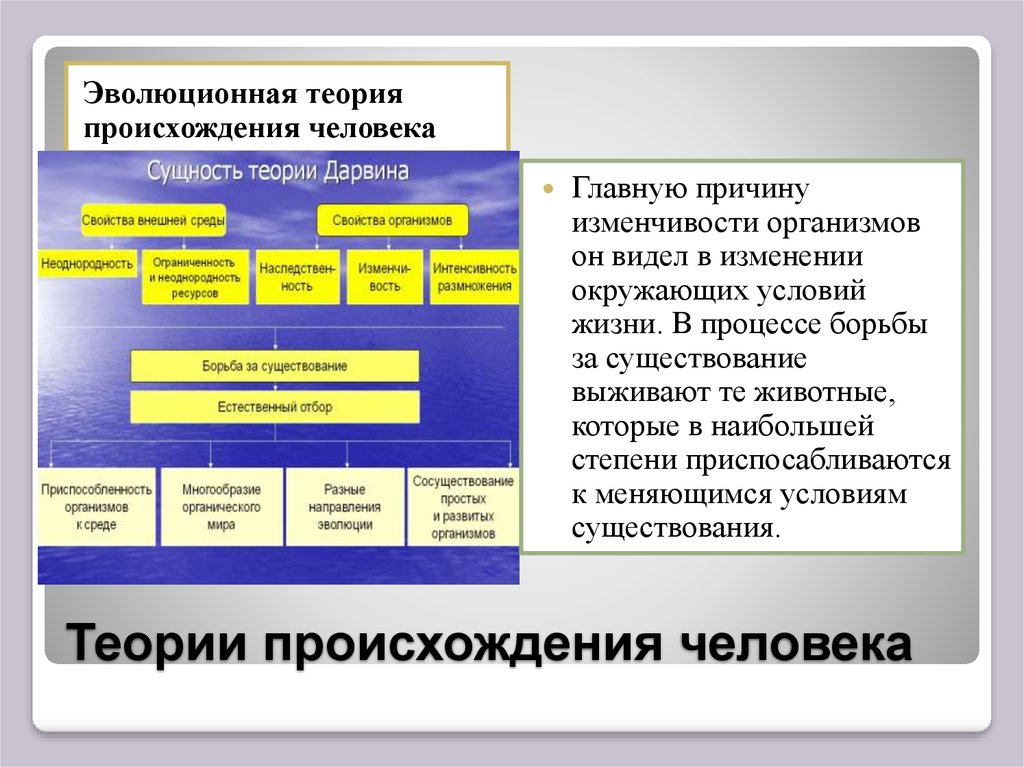 Биологическая и социокультурная эволюция человека