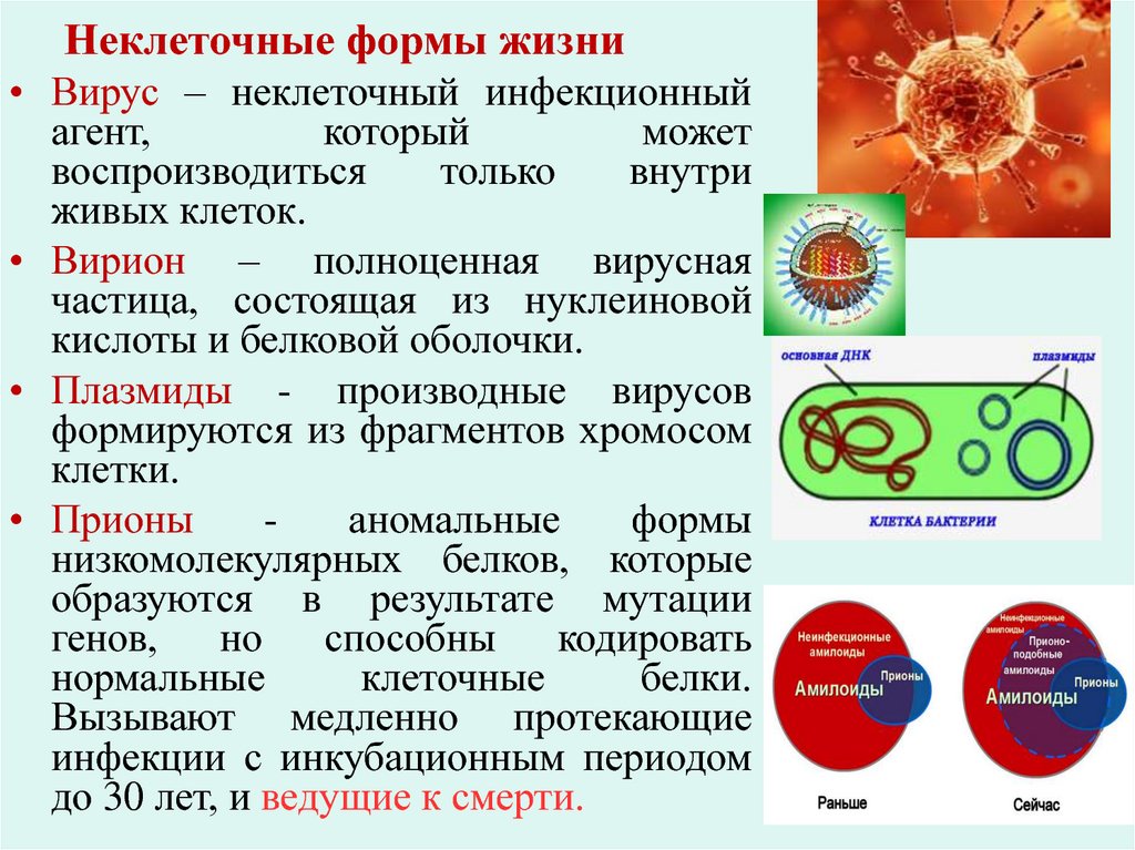 Жизненные формы клетки. Неклеточныемформы жизни. Неклеточные формы жизни. Вирусы неклеточные формы. Вирусы неклеточные формы жизни.