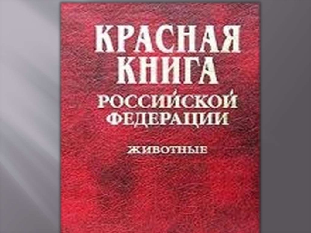 Фото красных книг