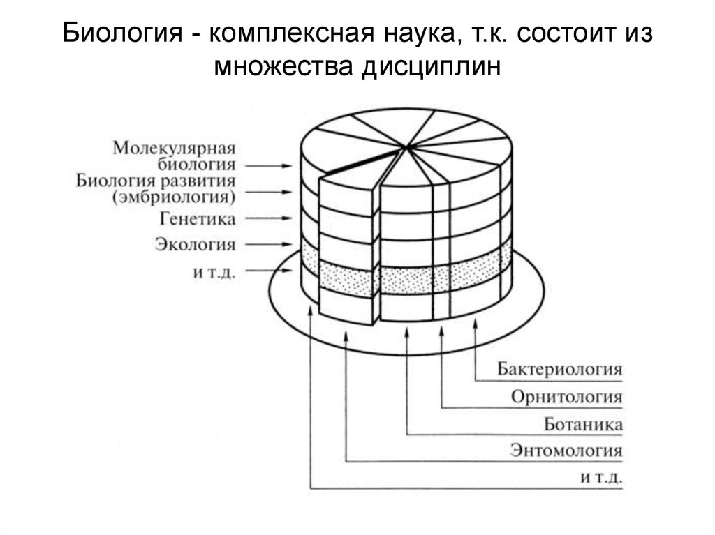 Комплексная наука. Биология комплексная наука. Биология как комплексная наука схема. Слоеный пирог биологии по Одуму. Структура биологии как комплексной науки.