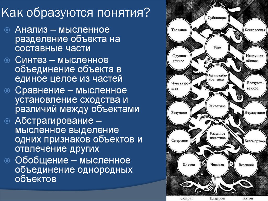 Как формировалось понятие культуры. Как образуется понятие. Как формируется понятие. Как образуются понятия 6 класс. Схема как образуется понятие.