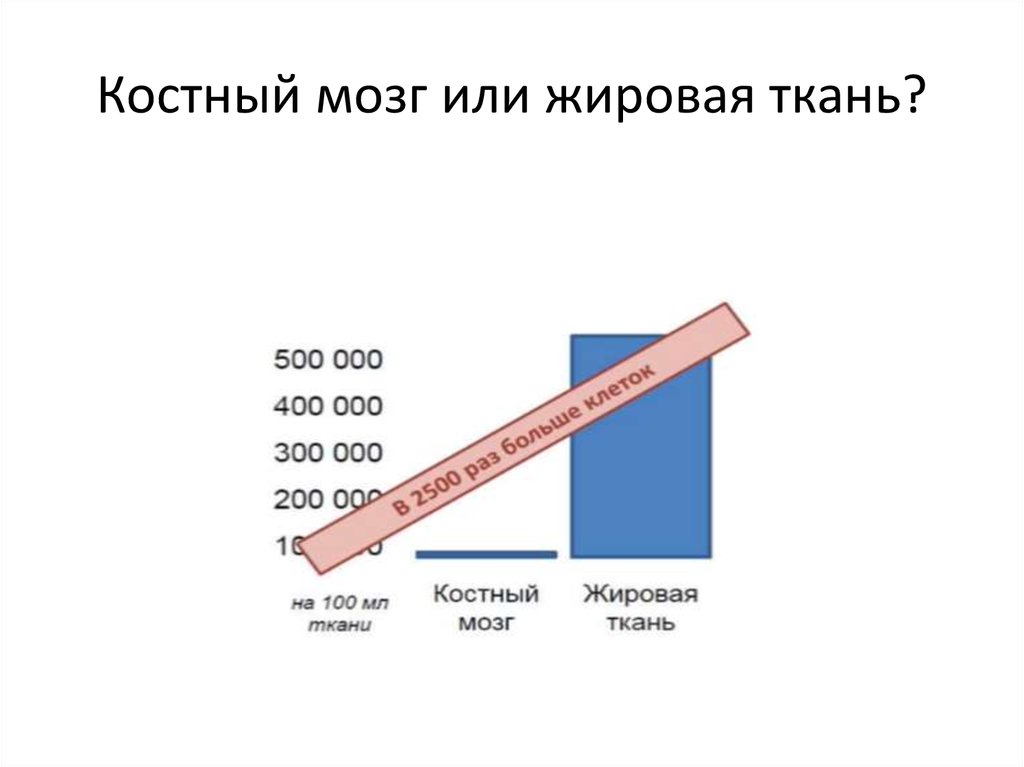 Костный мозг или жировая ткань?